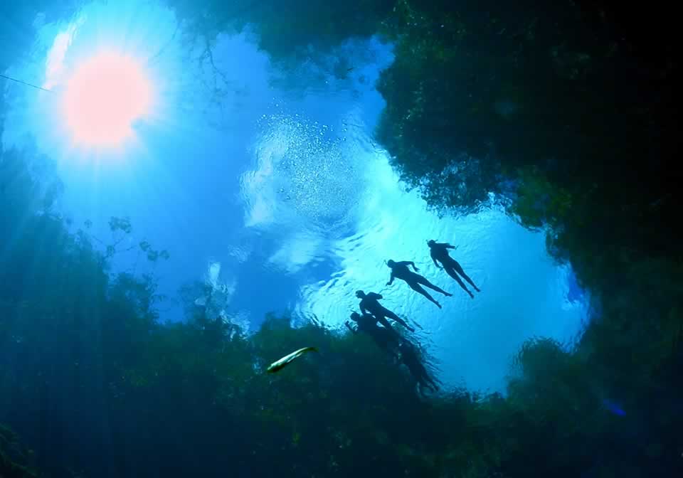 lagoa misteriosa diving