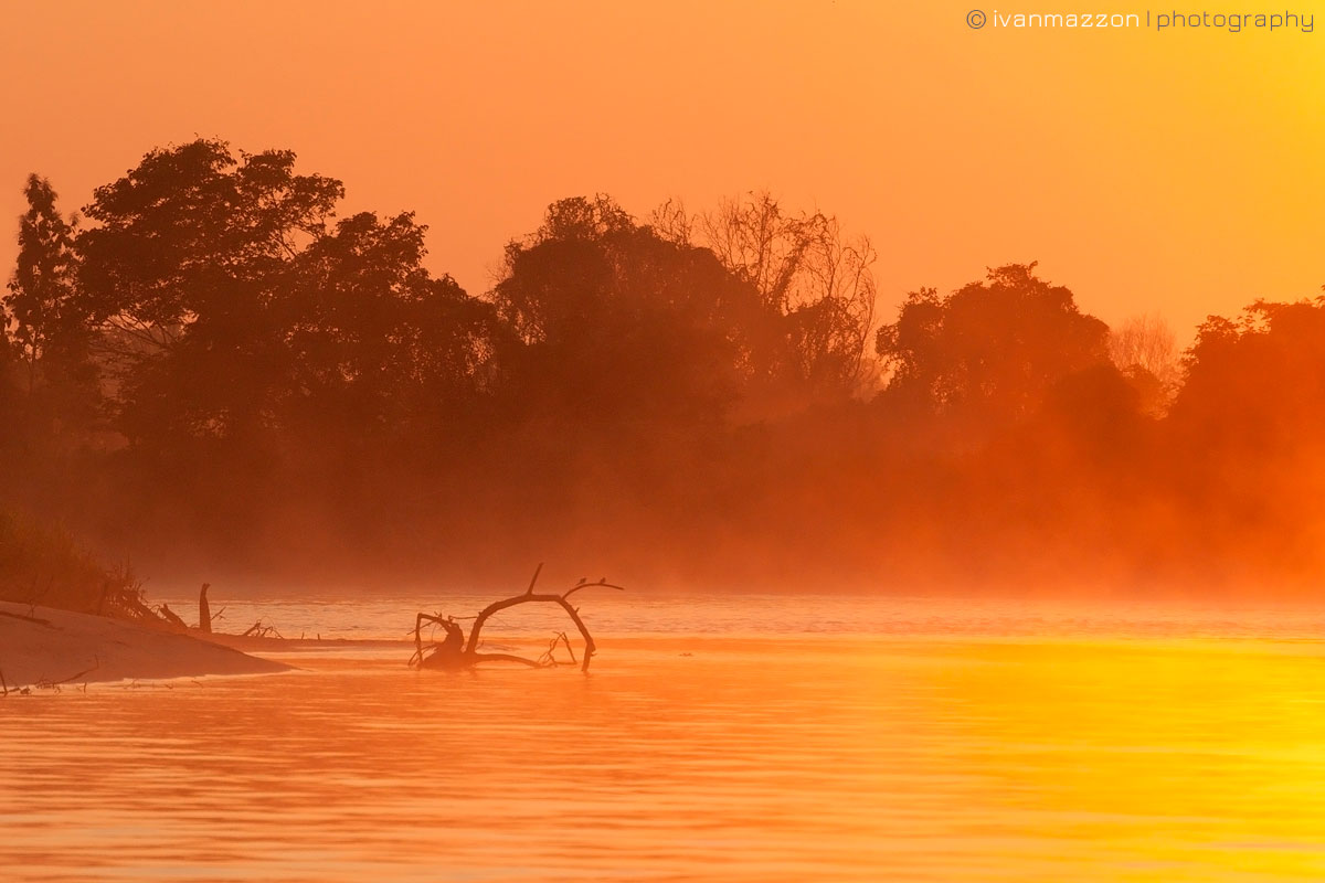 Pantanal by Ivan Mazzon