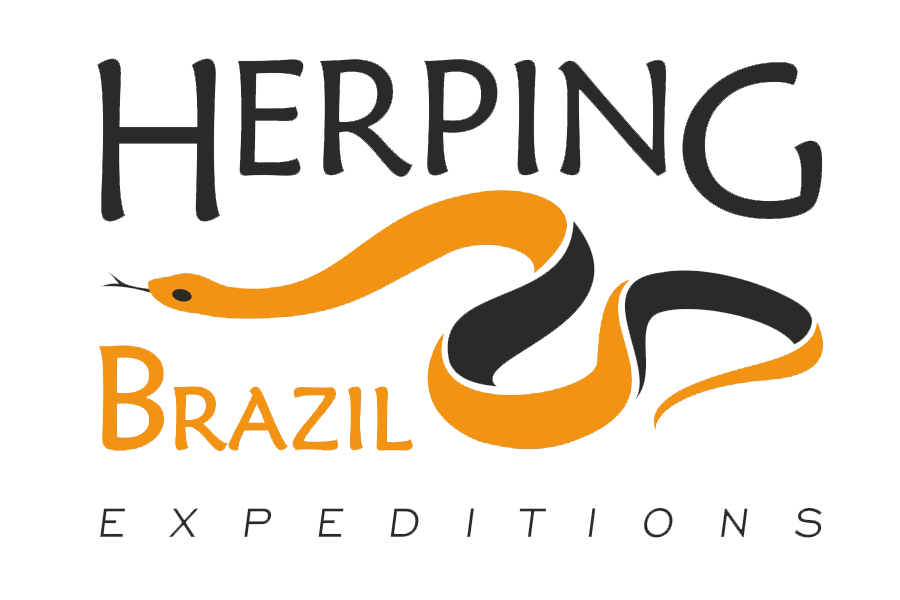 herping brazil tours